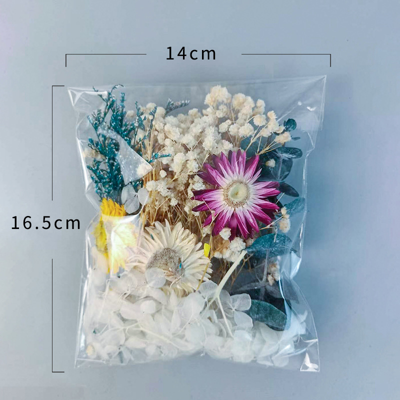 1pack Multifarious Dried Flowe - Newborn Gift Set ulasan dan harga